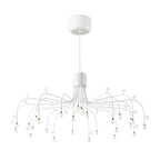 Retro Modern Adjustable Chandelier Iron and Acrylic LED Ceiling Light