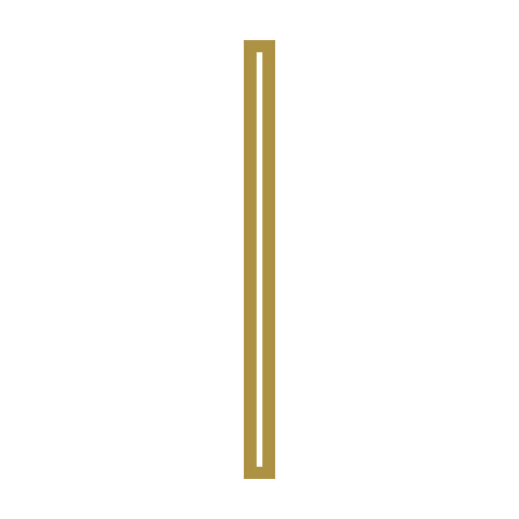 Linden Long LED Wall Sconce Modern Linear Iron Wall Light in Black or Gold