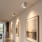 White square surface-mounted LED spotlight lighting artwork in a hallway